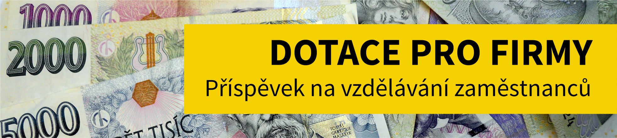 Vzdělávání pro firmy – nová dotace
